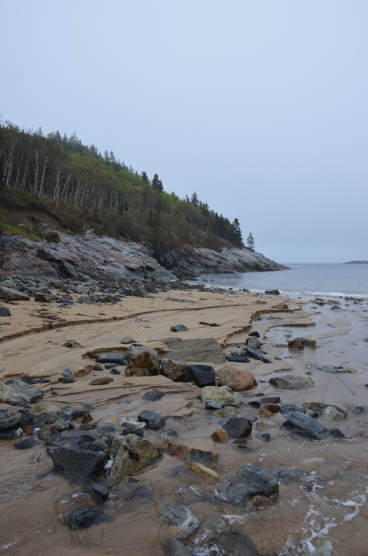 Acadia_BarHarbor-Maine (10/231)