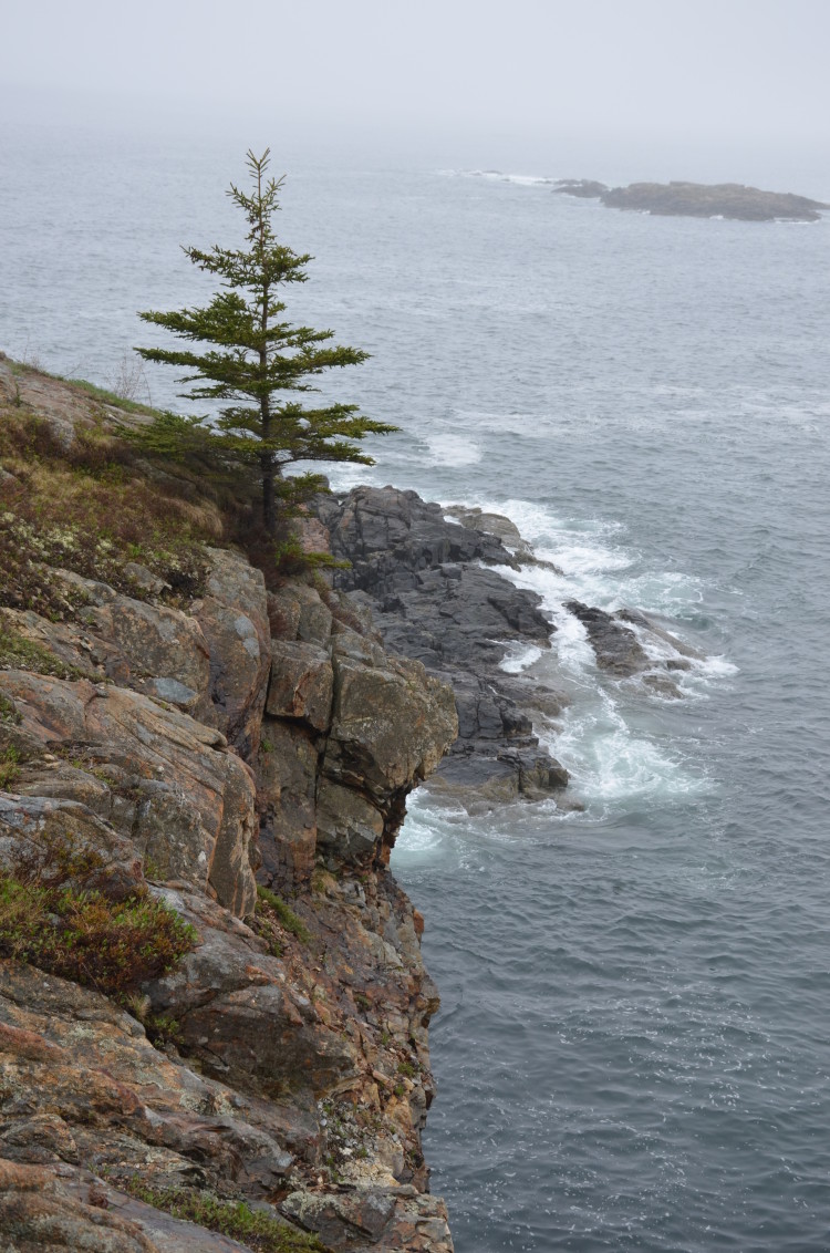 Acadia_BarHarbor-Maine (29/231)