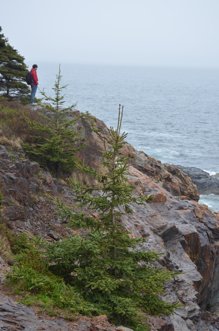 Acadia_BarHarbor-Maine (36/231)