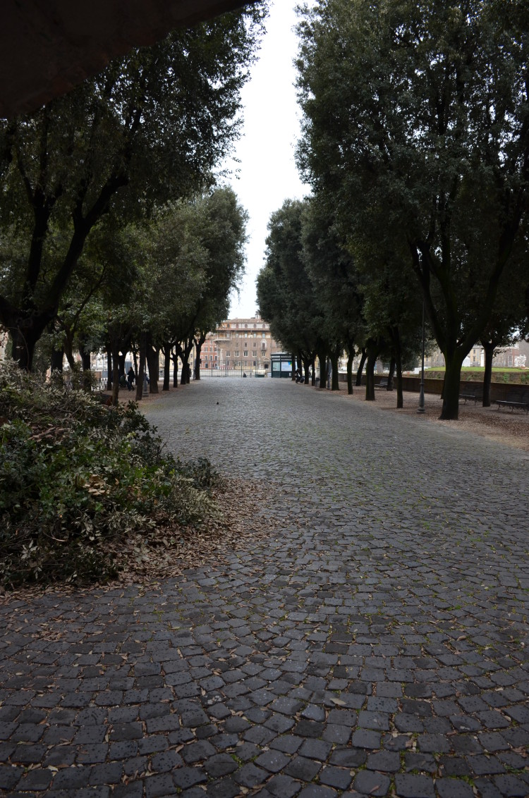 Rome Day 1 (240/437)