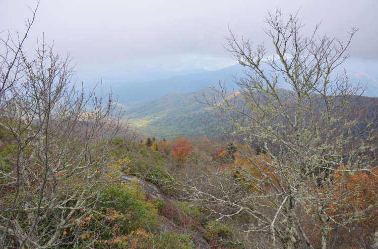 Great Smoky Mountains (6/67)