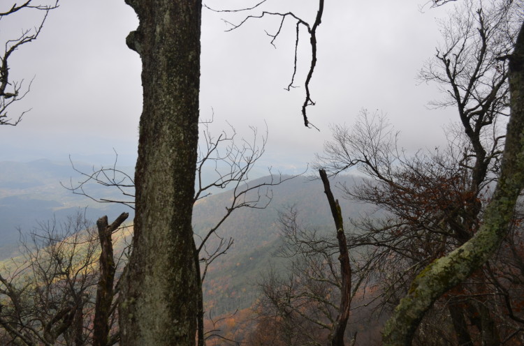 Great Smoky Mountains (18/67)