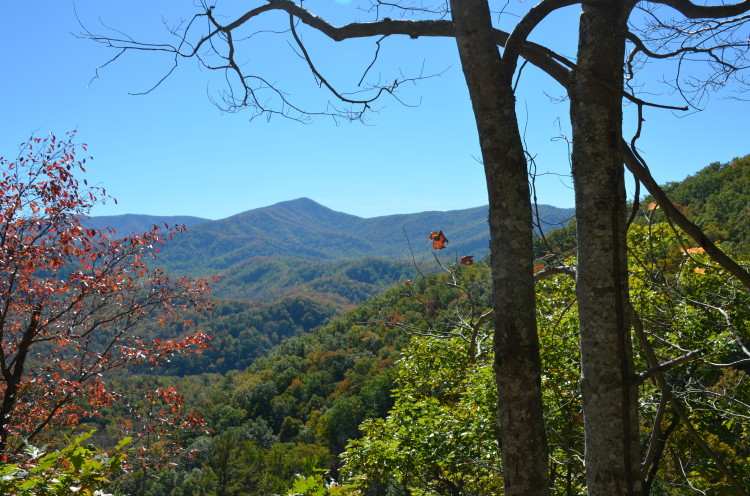 Great Smoky Mountains (63/67)